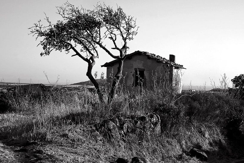 Rural idyll on the island of Sardinia by Silva Wischeropp