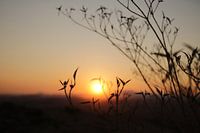 Sonnenuntergang im Hintergrund