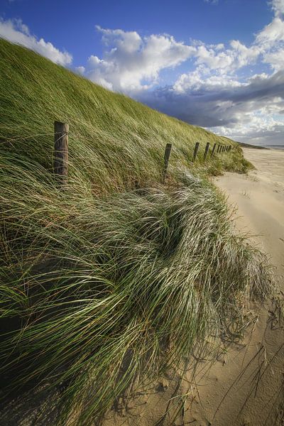 Beach, sea and sun by Dirk van Egmond