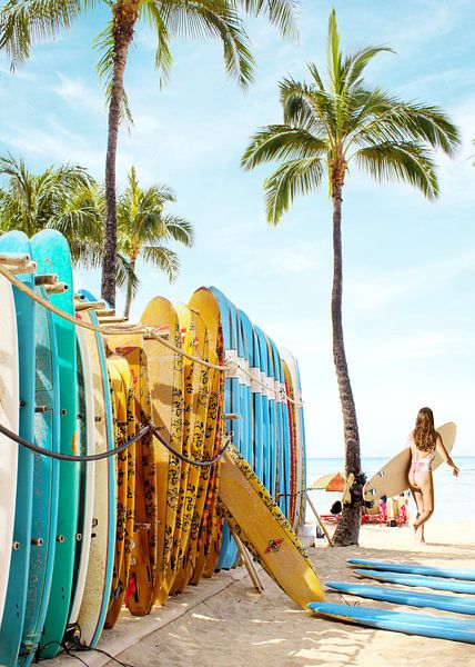 Choisissez votre planche de surf 2 par Gal Design