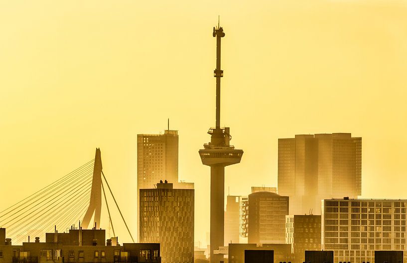 Rotterdam, Skyline avec Euromast et le pont Erasmus par Frans Lemmens