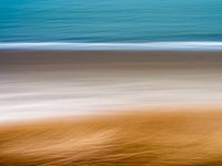 Un résumé de l'herbe à marmotte, de la plage et de la mer