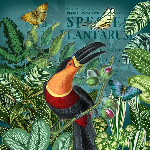 Toucan green world by christine b-b müller