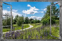 Fensterblick - Aulandschaft