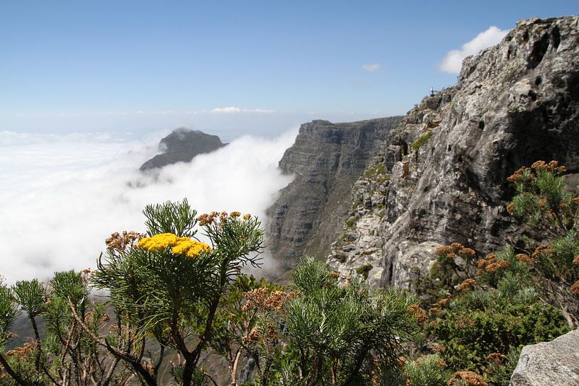 Tafelkleed van Tafelberg Kaapstad van Jan Roodzand