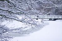 Winter in Leiderdorp