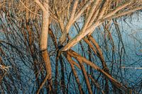 Réserve naturelle Oeffelt