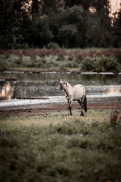 Pferd am Wasser ruft in der Stille der Natur von Femke Ketelaar