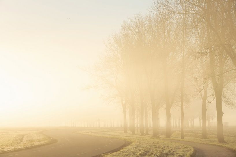 Foggy morning by Peter Kuipers
