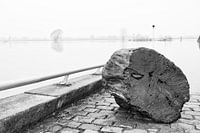 Hoogwater aan de IJssel