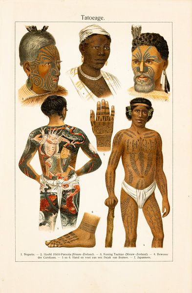 Educational colouring sheet Tattoos by Studio Wunderkammer