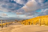 Beach entrance Petten Netherlands