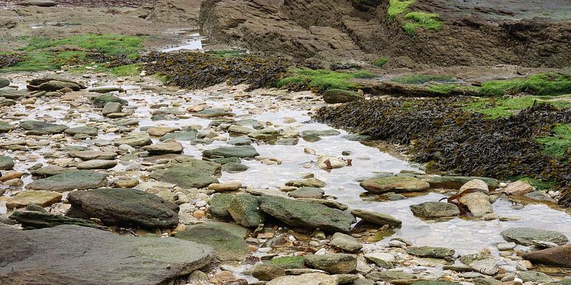 marée basse par Andreas Wemmje