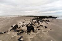 Winter day at sea on the beach of Ameland on the Dutch coast.