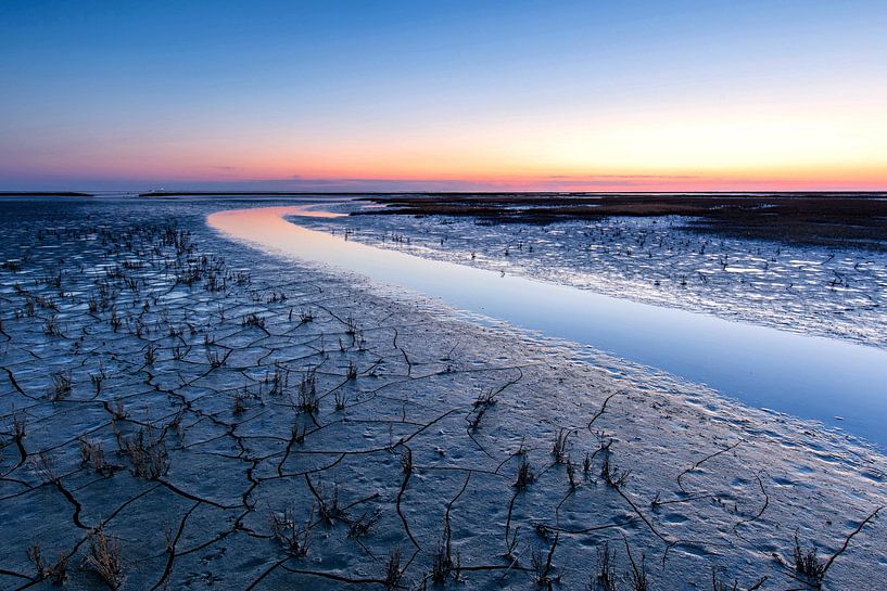 Warten auf die Sonne von Peter Kuipers