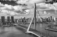 Erasmus Bridge Rotterdam in black and white