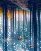 Die Vorteile des Herunterfallens