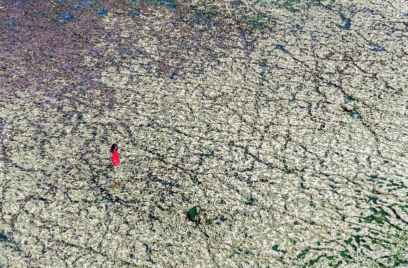 Unprotected by Emil Golshani