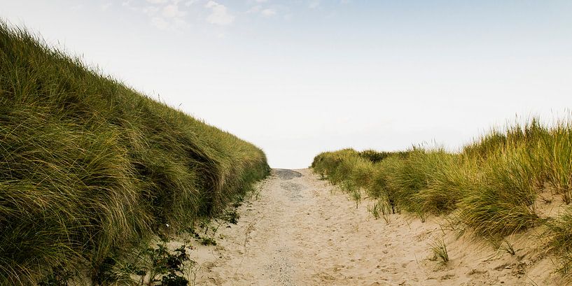 Dünenübergang bei Cadzand-Bad von Dirk Huckriede