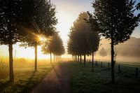 Met een gouden randje