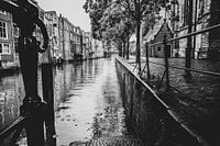 La nostalgie de Dordrecht