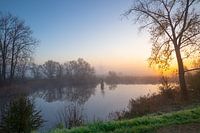 Landscape in the Betuwe