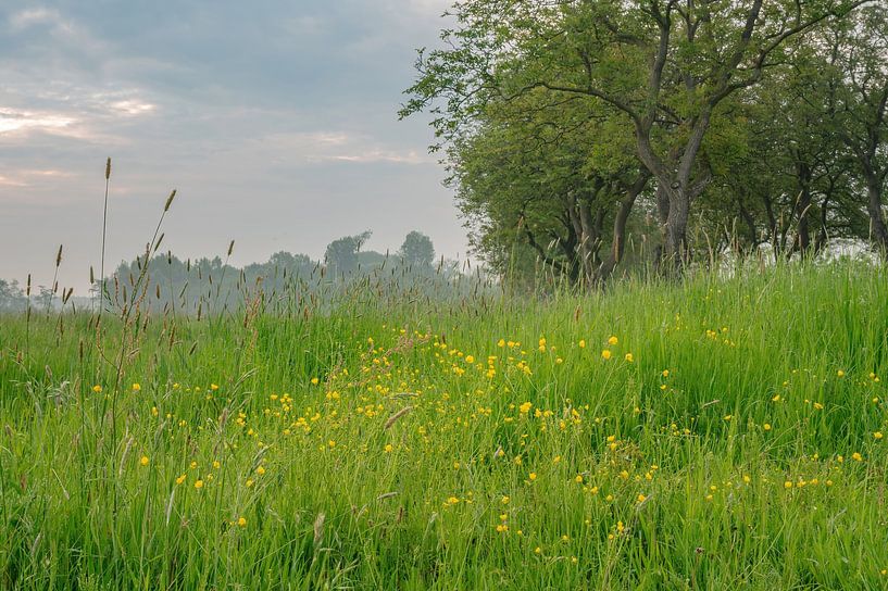 Park Lingezegen Teil 26 von Tania Perneel
