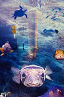 Lasst uns Fische in Ruhe!