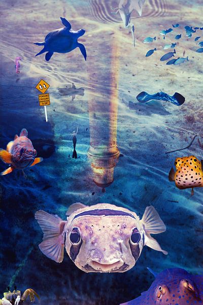 Laat ons vissen met rust! van Marjoline Delahaye