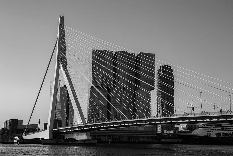 Der Rotterdam von Paul Schlüter