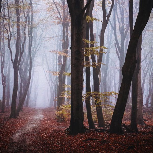 Un monde seul par Tvurk Photography