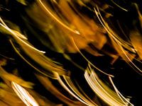 EVEIL DU PRINTEMPS # 47