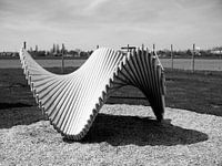 Wood sculpture black and white