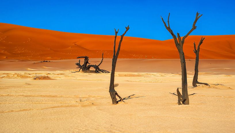 Les vieux arbres dans Deadvlei, la Namibie par Rietje Bulthuis