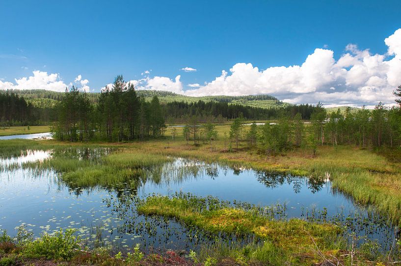 Parc national fulufjället par Marc Hollenberg