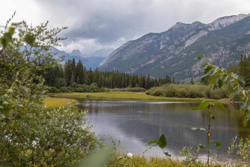 Banff national park Canada Alberta wetlands by Joost Winkens
