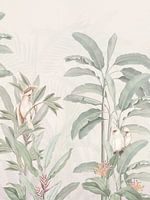 White Cockatoo & parrots birds in tropical jungle foliage