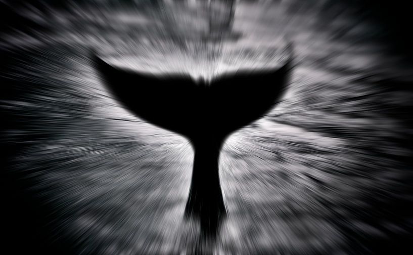 La nageoire caudale d'une orque par Maickel Dedeken