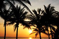 Coucher de soleil au bord de la mer II