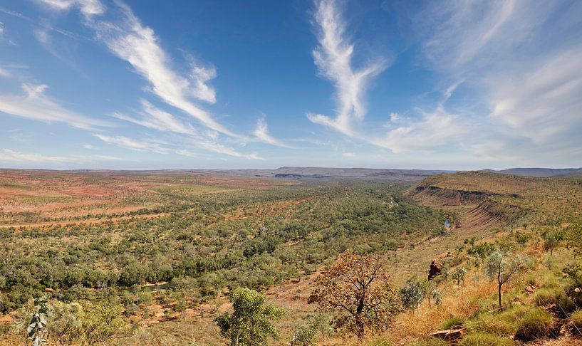 Panorama de l'arrière-pays par Laura Krol