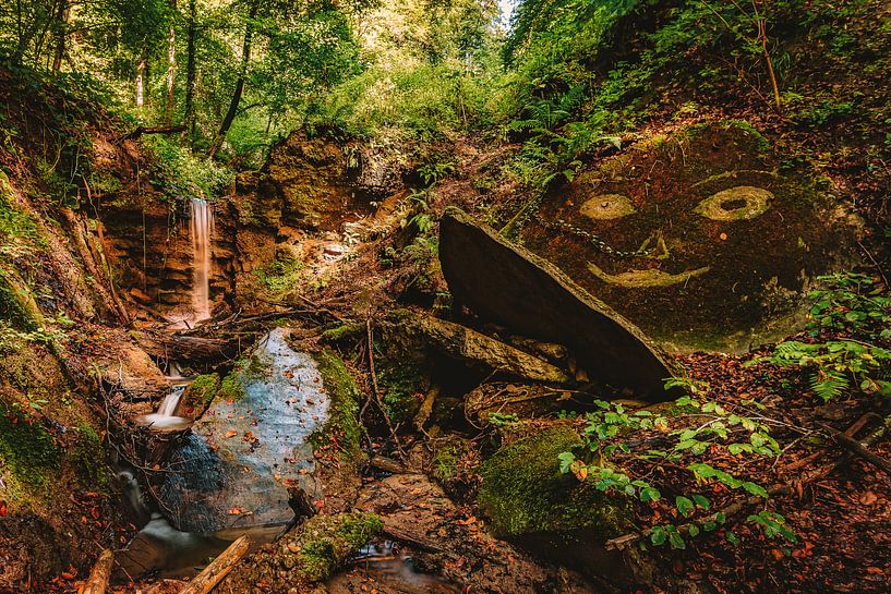 Märchenhafte Schlucht mit Wasserfall von MindScape Photography