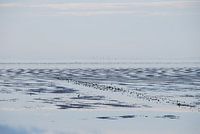 Uitzicht op de Waddenzee.