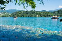 The enchanting lake of Bled in Slovenia