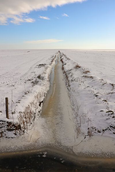 Gefrorener Graben auf Terschelling von Mooi op Terschelling