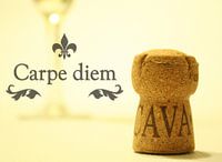 Carpe Diem