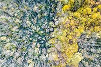 De herfst komt in zicht, vanuit de lucht