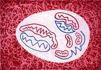 Dem Kern der Sache auf den Grund gehen