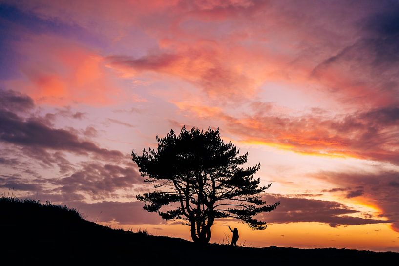 Sonnenuntergangssilhouette von TCPhoto.nl