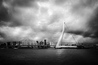 Pont Erasmus Rotterdam