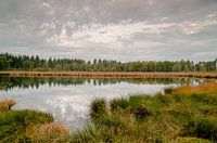 herfst in het lunsveen